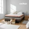 Colchón Relax Dream 160X190 + Base Cama Dividida + Espaldar + Protector Impermeable + 3 Almohadas