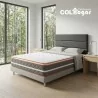 Colchón Relax Dream 160X190 + Base Cama Dividida + Espaldar + Protector Impermeable + 3 Almohadas