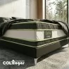 Colchon Ortopédico Zafiro Plus 100X190 + Base + Protector impermeable+ Almohada