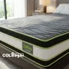 Colchon Ortopédico Zafiro Plus 100X190 + Base + Espaldar + Protector impermeable+ Almohada